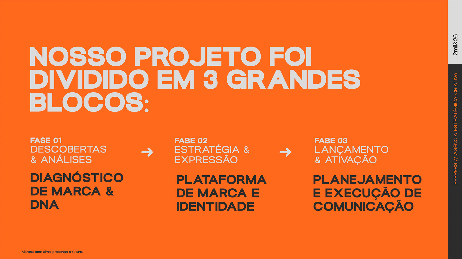 SaneSaúde 2
